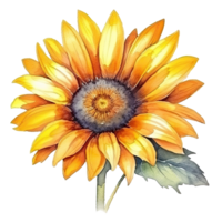 Yellow Watercolor Sunflower. Illustration AI Generative png