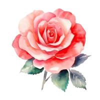 Cute watercolor rose flower. Illustration AI Generative png