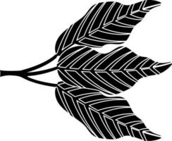 Flat style leaves in black and white color. vector