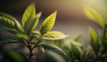 A fresh green leaf close up macro shot generated by AI photo