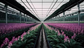 Greenhouse plant growth industry blossom freshness outdoors nature generated by AI photo