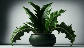 A fresh green plant in a vase decoration generated by AI photo
