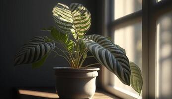 Fresh green plant grows in house window vase generated by AI photo