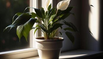 Green plant in vase on windowsill indoors generated by AI photo