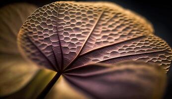 Abstract macro of organic leaf symmetry and shape generated by AI photo