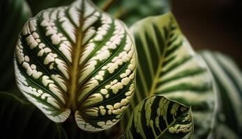 Green plant with yellow petals and leaf vein generated by AI photo