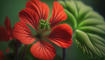 Nature beauty up close leaf petal flowerhead generated by AI photo