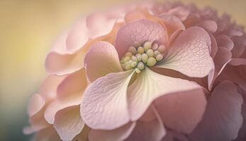 Close up of a purple hydrangea flower head generated by AI photo