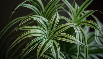 Nature's elegance Close up of green leaf pattern ,generative AI photo