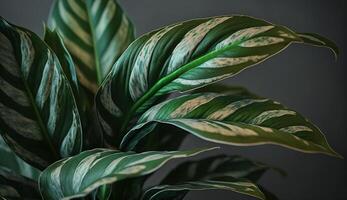 Green leaf close up with yellow vein pattern generated by AI photo