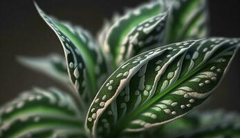 Green leaf vein on dark background generated by AI photo