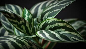 Green leaf pattern close up freshness of botany generated by AI photo