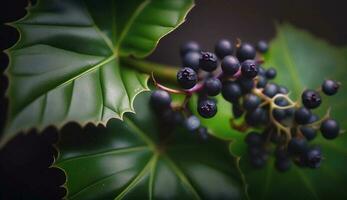 Fresh green leaves on branch with berry fruit generated by AI photo