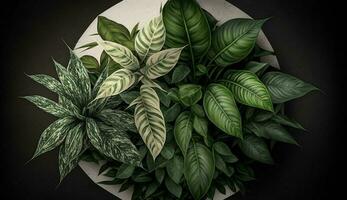 Green botanical wallpaper with leaf and plant motifs generated by AI photo