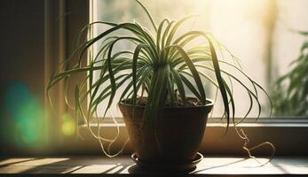 Green plant in vase on wooden table ,generative AI photo