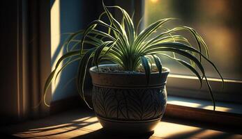 Indoor nature decor potted plant on window sill ,generative AI photo