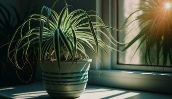 Green plant in vase on window sill ,generative AI photo