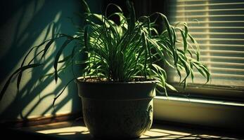 planta crecimiento en florero en mesa adentro ,generativo ai foto