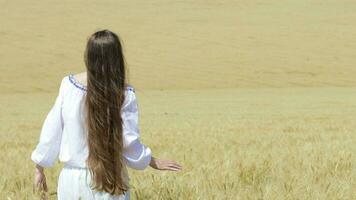 Young lady in the middle of the wheat field video