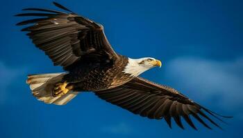 Majestic bird of prey, the bald eagle, spreads wings mid air generated by AI photo