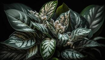 Fresco planta hojas monitor verde belleza en naturaleza generado por ai foto