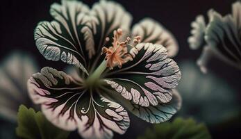 Nature beauty in macro plant leaf and flower generated by AI photo