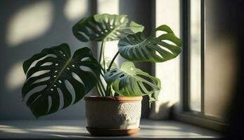 Green plant in flower pot near window indoors generated by AI photo