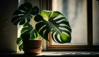 Indoors green plants on window sill summer vibes generated by AI photo