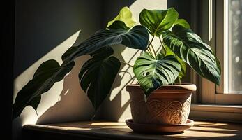 Green plant on wood table near window generated by AI photo