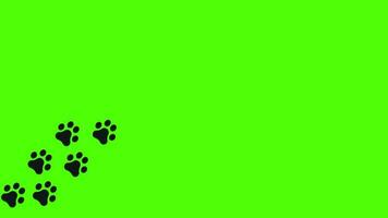 Trail of paw prints on green screen background. Black canine silhouettes of footprints. Steps tracing the canine path. Journey of the dog paw prints video