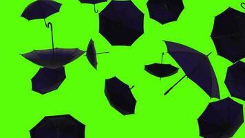 Umbrellas background. Falling blue umbrellas over green screen or chroma key. Rain of umbrellas across the screen video