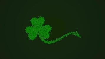 Klaver blad. groen deeltjes verschijnen en vormen de vorm van Klaver of klaver. st. Patrick dag achtergrond. Iers traditie concept. video