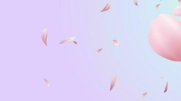 kers bloesem bloemblaadjes vliegen, drijvend en zwaaiend in de wind. kers bloesem bloemen vallend diagonaal over- helling roze achtergrond. sakura, roos of kers bloesem bloemblaadjes. video