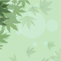 Abstract green maple leaves on background. vector