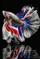 illustration, colorful Siam betta fish with a beautiful long tail, . photo