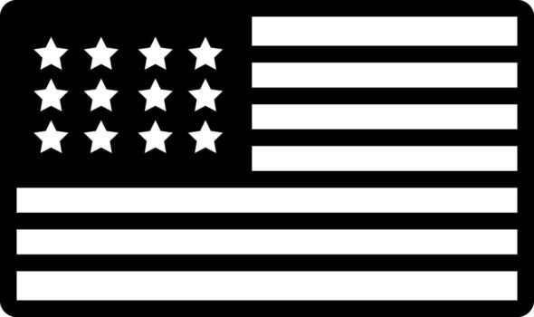 solid icon for usa vector