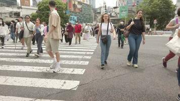 tokio, Japón - mayo 29 , 2023 inclinación arriba foque Disparo . peatones cruzar a shibuya cruce en tokio Japón video