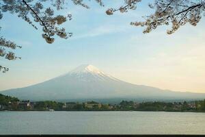 Mount Fuji and cherry-blossoms which are viewed from lake Kawaguchiko in Yamanashi, Japan photo