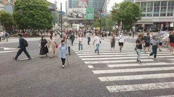 tokio, Japón - mayo 29 , 2023 alto ángulo ver . peatones cruzar a shibuya cruce en tokio , Japón video