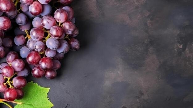 Ripe grapes mockup and copy space with a gradient background, photo