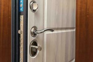 modern reliable metal door with wooden interior decor and triple seal photo