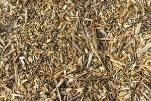 Wood Chips. Natural wood sawdust background. wood sawdust texture. photo