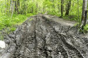 impassable forest road, muddy after rains, with traces of truck tires photo