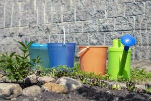 colored buckets for watering flowers in flower bed and a watering can photo