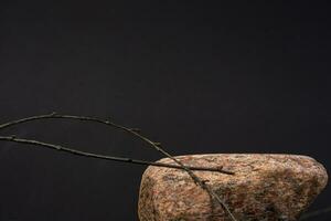 a mock-up. cosmetics stands on a natural stone, black background. photo