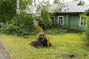 a tree broken by the wind lies next to a private house photo