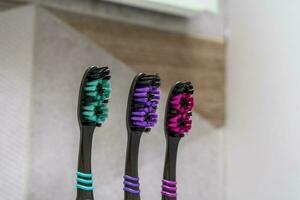 toothbrushes stand in a special stand in the bathroom interior photo