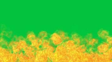 Fire flame animation on green screen background video