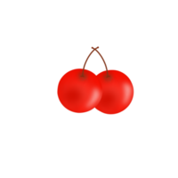 two fresh red cherries png