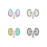 Kidney Vector Icon